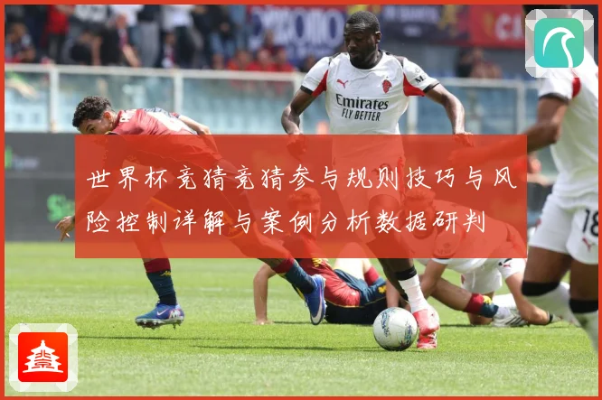世界杯竞猜竞猜参与规则技巧与风险控制详解与案例分析数据研判
