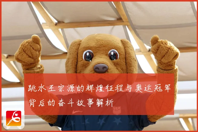跳水王宗源的辉煌征程与奥运冠军背后的奋斗故事解析